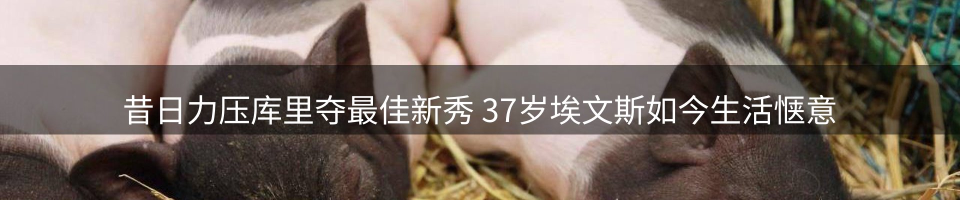 平台资讯